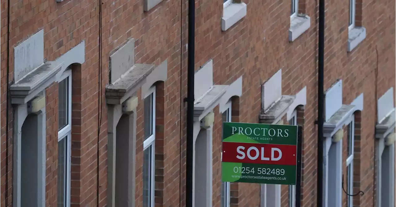 UK house prices rocket at fastest rate since 2007: Halifax