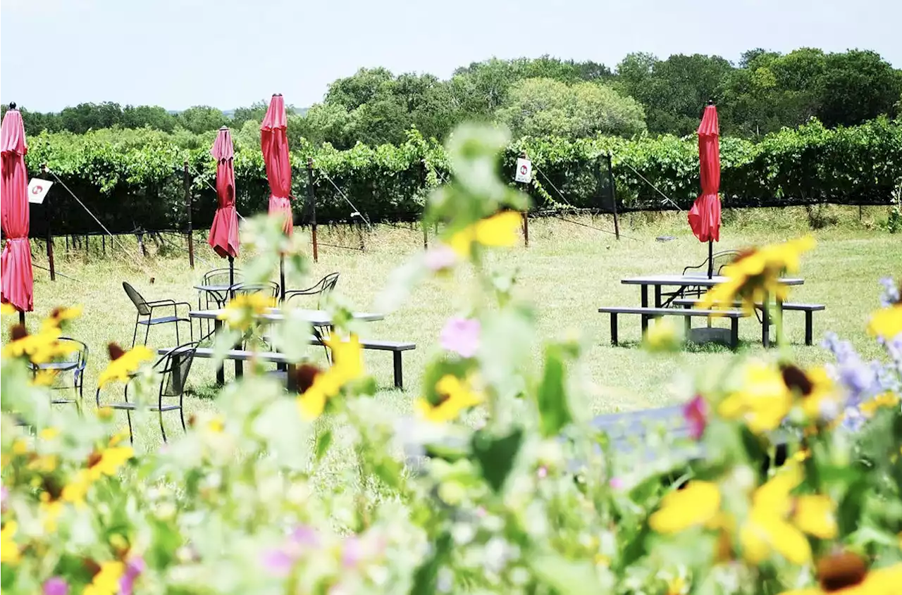 San Antonio-area winery Kuhlman Cellars debuts spring-worthy wine flights, estate vineyard views