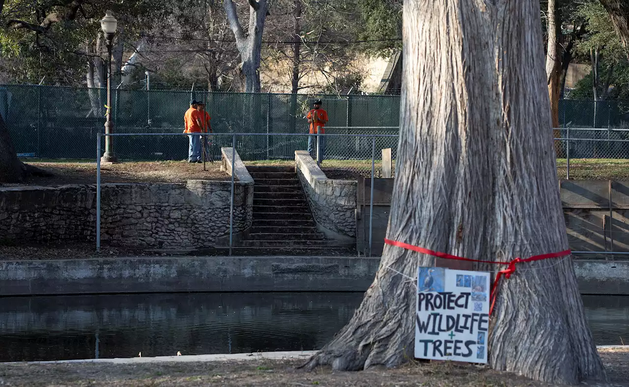 Is San Antonio a 'Bird City' or a city at war with birds?