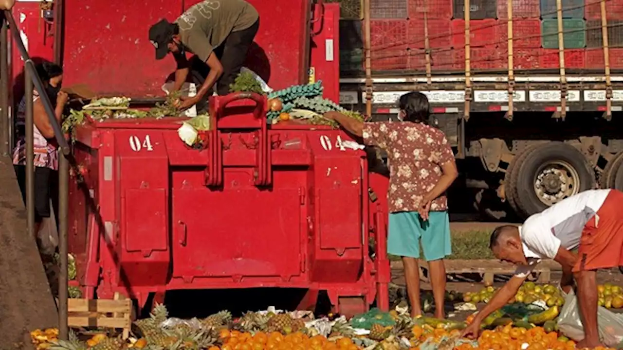 Alertan que la guerra en Ucrania puede generar una crisis alimentaria a nivel mundial