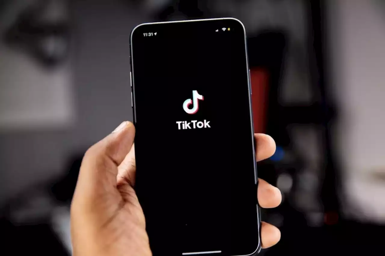 TikTok SUSPENDS livestreaming in Russia over new 'fake news' law