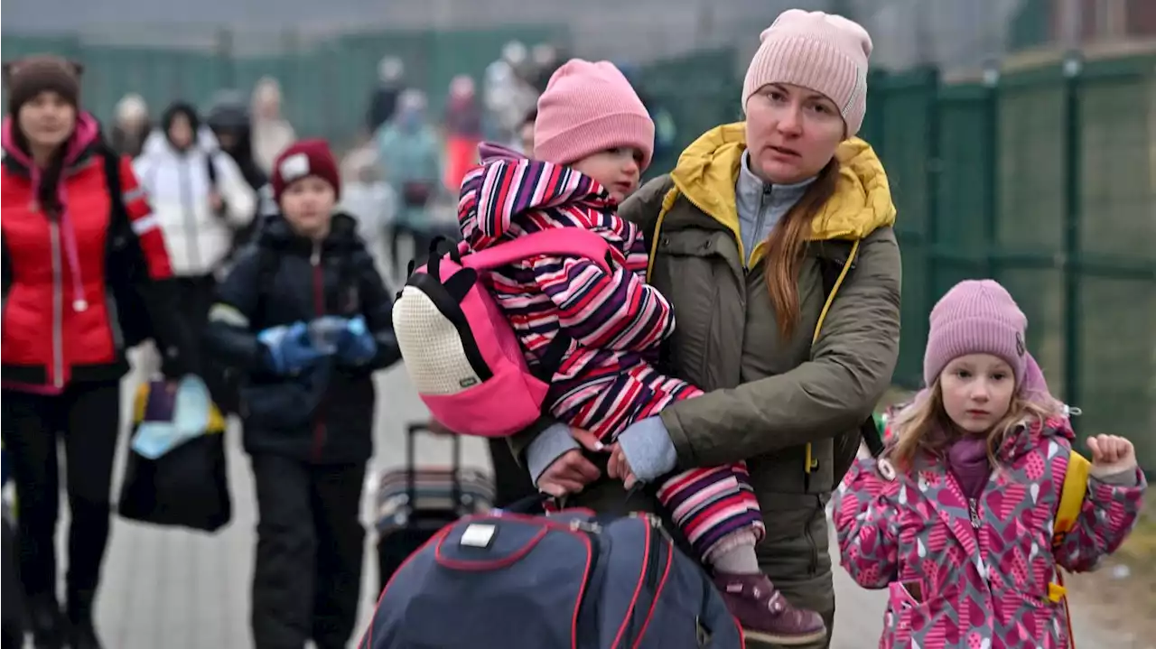 Over 2 million Ukrainian refugees have fled since Russian invasion began, UN says