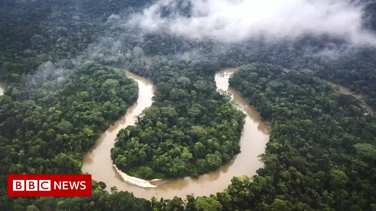 Amazon rainforest reaching tipping point, researchers say