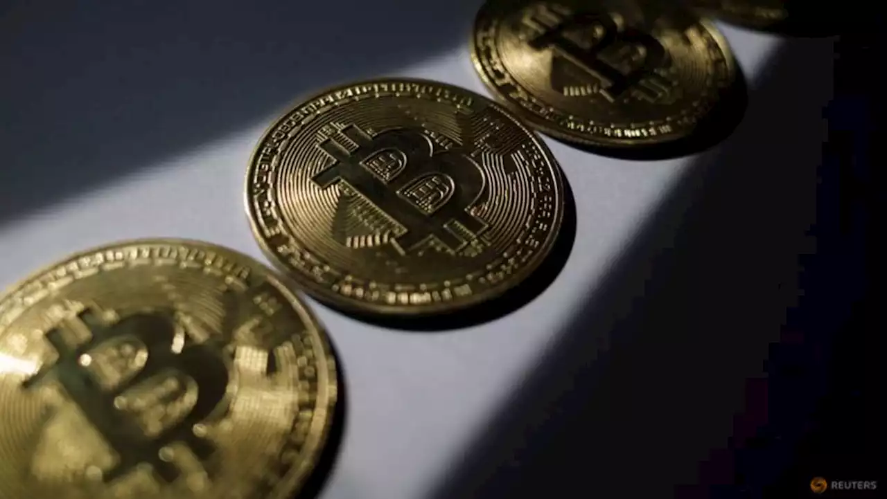 US crypto exchange CoinZoom pausing new accounts within Russia: CEO