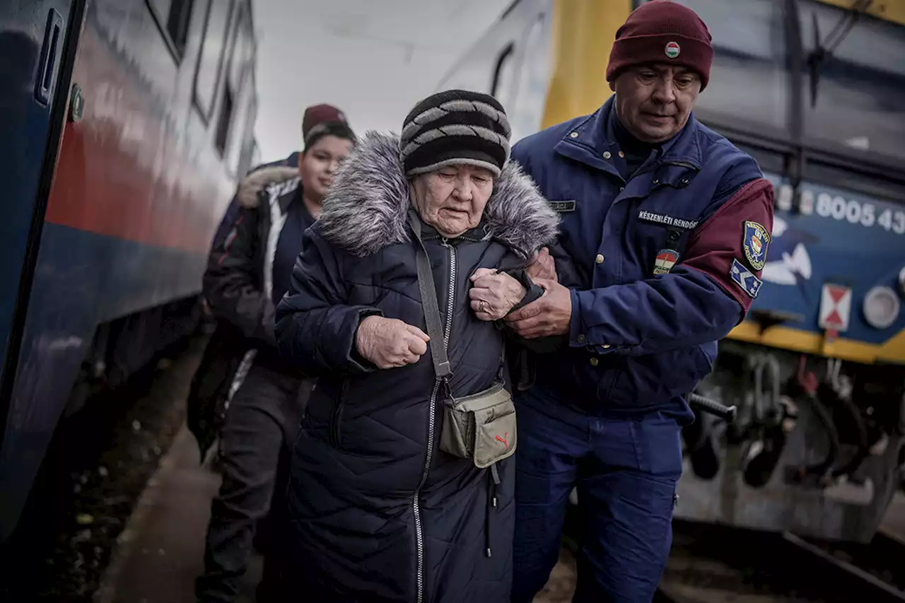 Outflow of refugees from Ukraine reaches 2 million, says UN refugee chief