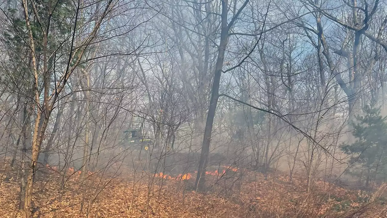 FDNY fighting Central Park brush fires