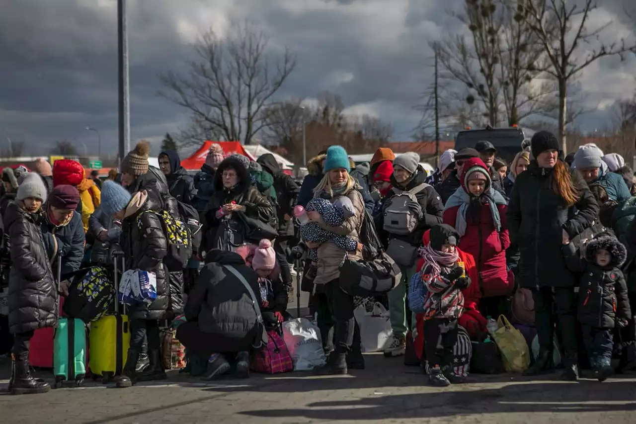 Saskatchewan aims to be destination of choice for Ukrainian refugees: minister