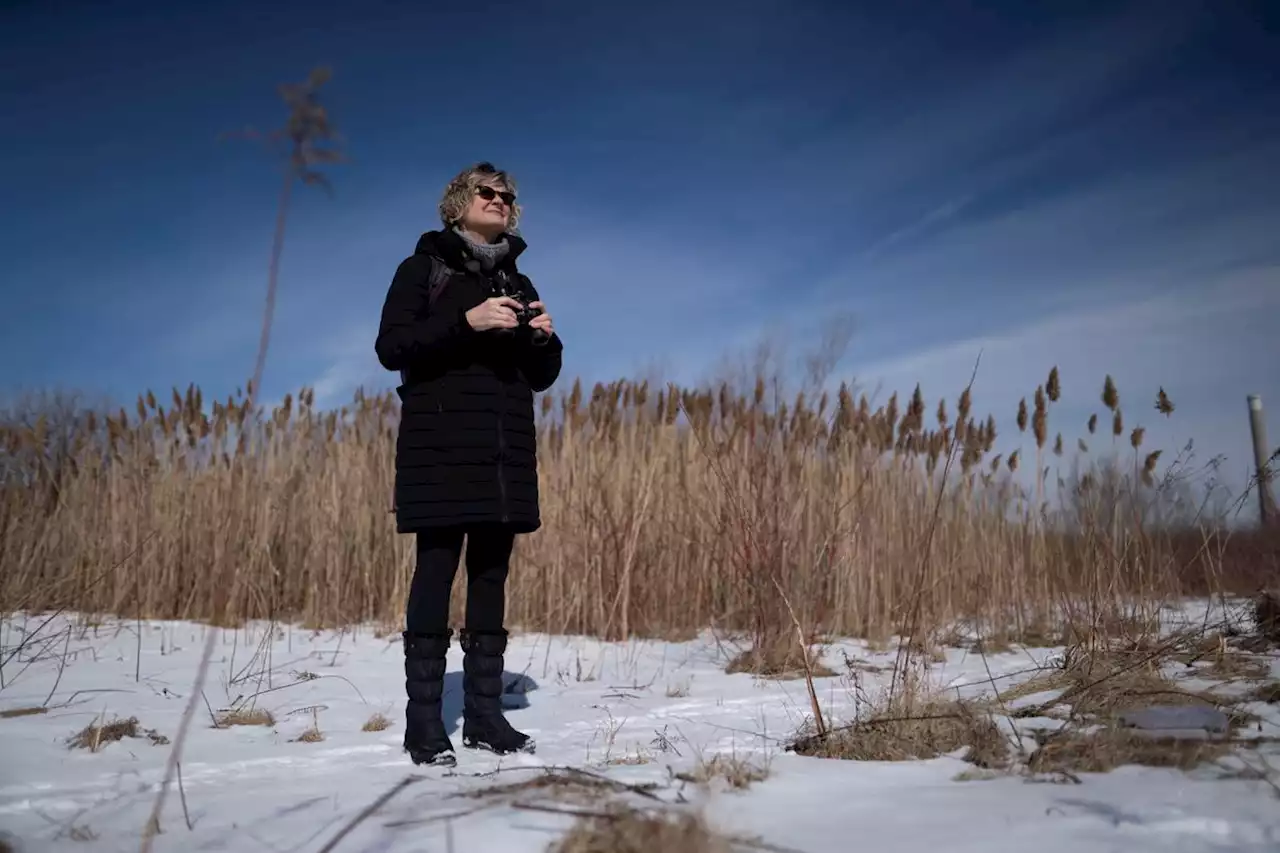 Why birdwatching has become the hot new hobby for seniors