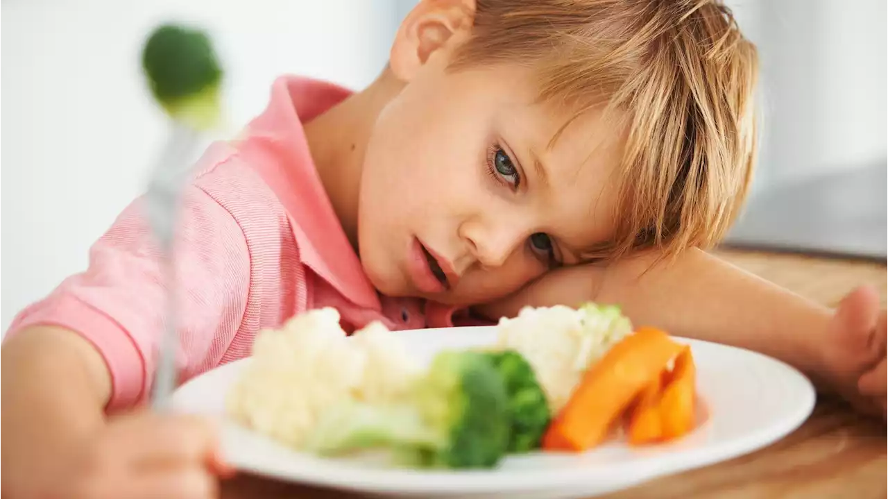 It's Damn Hard To Feed Kids. Here Are Tips For Parents' 4 Biggest Challenges.