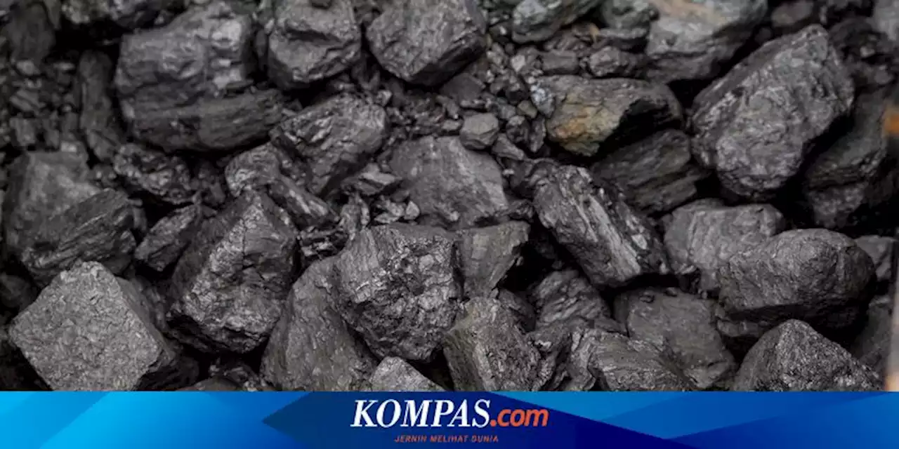 Perang Rusia-Ukraina Kerek Harga Batu Bara Acuan Maret ke Level 203 Dollar AS