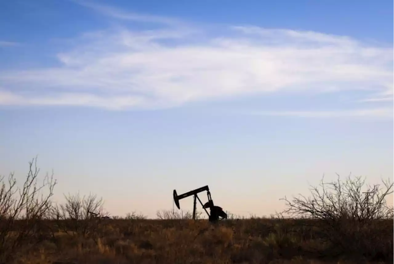 Texas lawmakers call for U.S. to ban Russian oil imports and increase domestic production