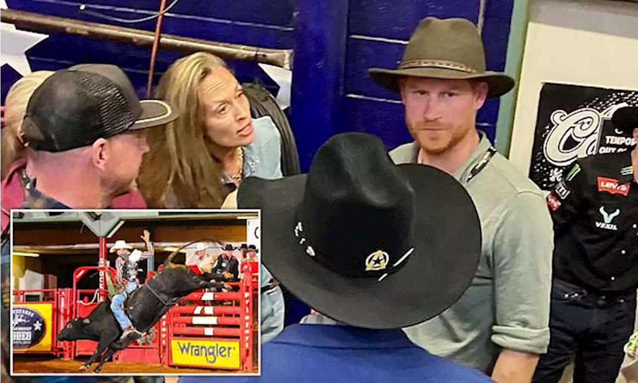 Prince Harry is slammed for attending a rodeo in Texas