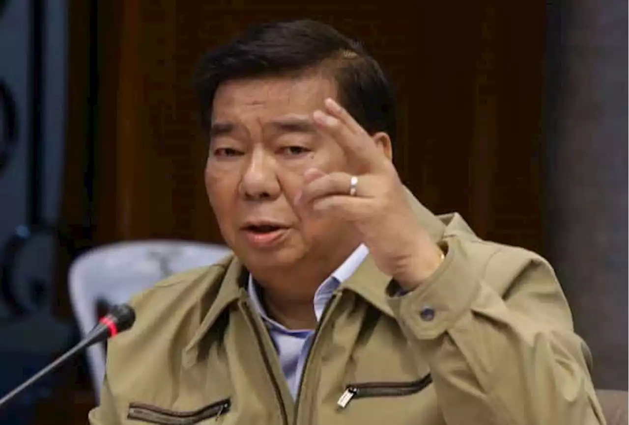 DOF, BIR can suspend collection of excise taxes on fuel products under TRAIN Law—Drilon