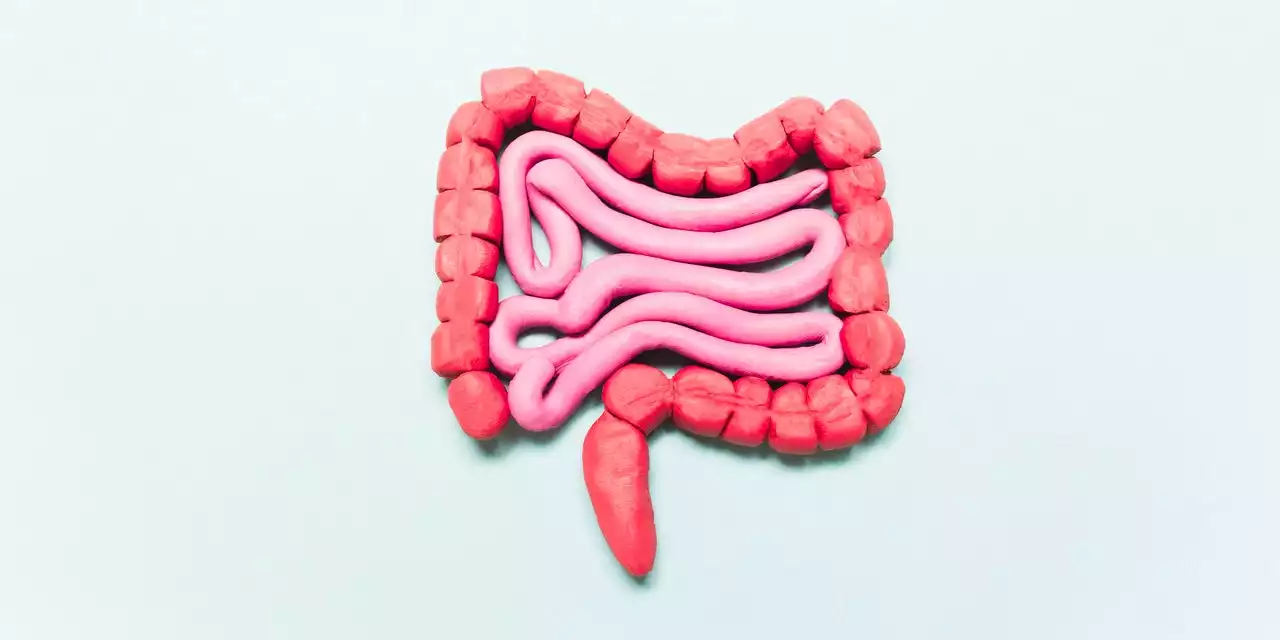 Here’s the Difference Between Ulcerative Colitis and Crohn’s Disease