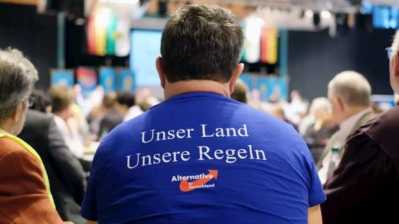 Verfassungsschutz: AfD ein „Verdachtsfall“ auf Rechtsextremismus?