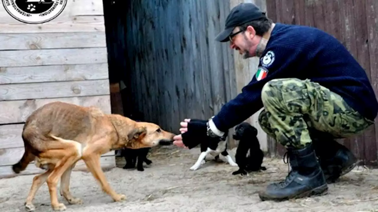 El italiano que prefiere morir a abandonar a sus 400 animales en Kiev