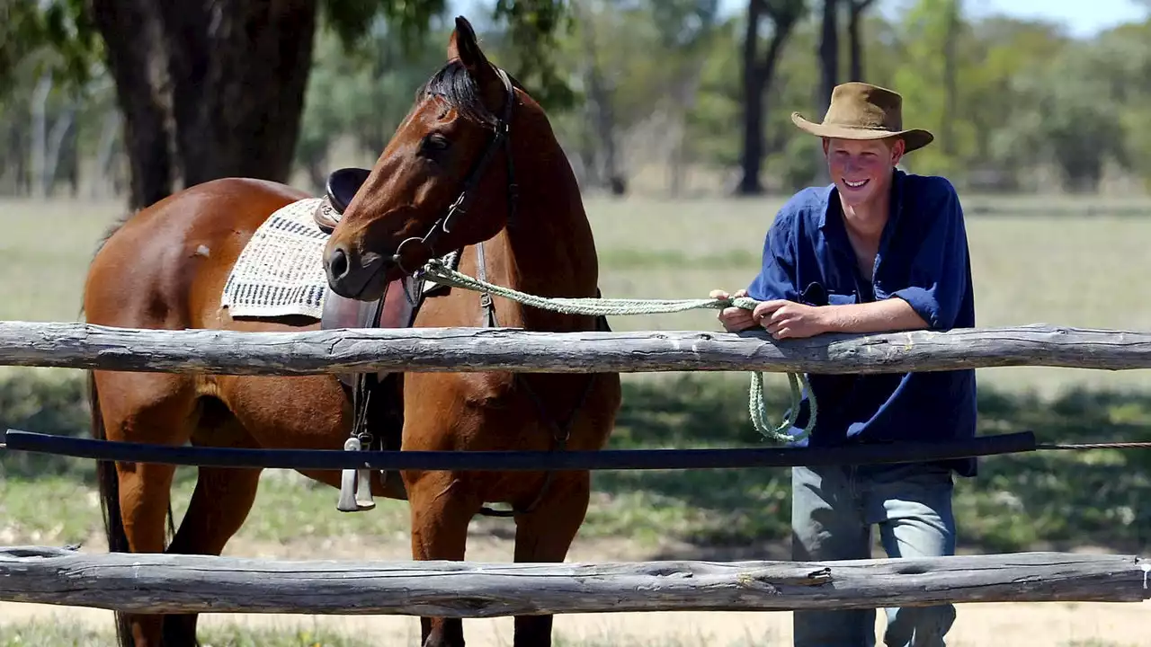 Prince Harry Steps Out to a Fort Worth Rodeo in Cowboy Boots