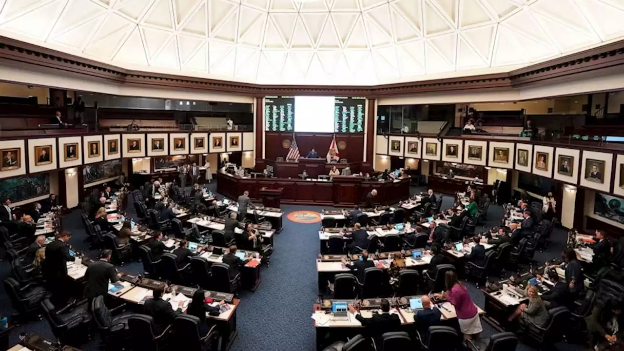 'Don't Say Gay' bill passes Florida Senate