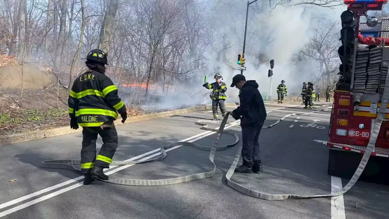 Brush fires in Central Park believed to be arson