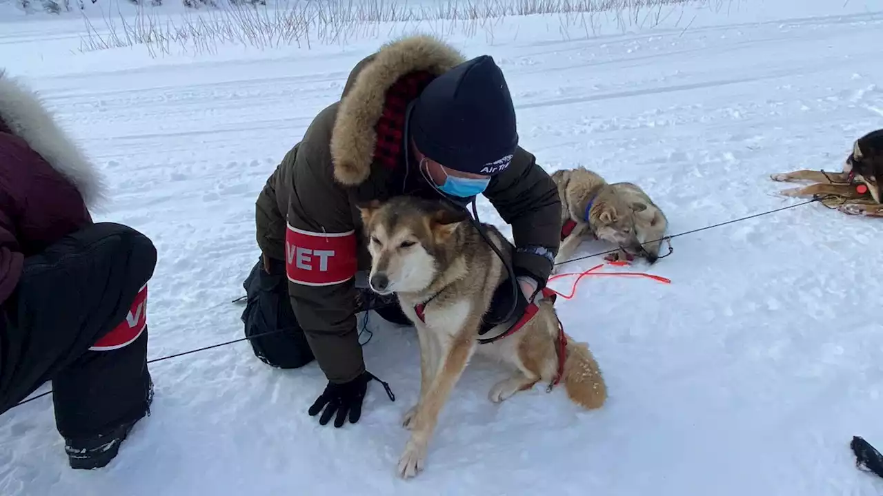 Iditarod live blog: Sass, Seavey trade top spot