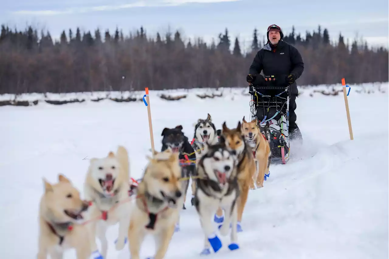 Aaron Burmeister and his 13-dog team are first to McGrath - Alaska Public Media