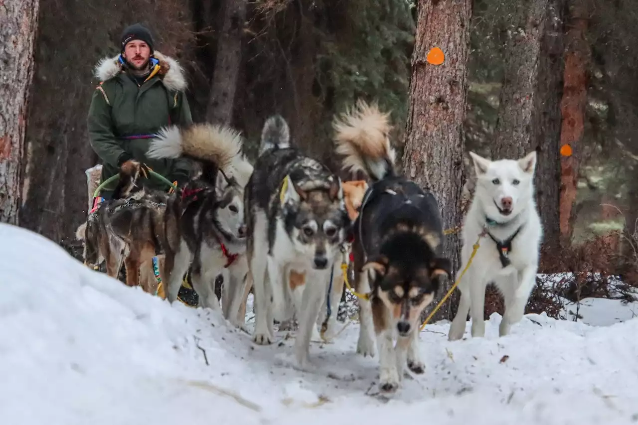 Iditarod rookie describes trip down steep and twisty Dalzell Gorge as 'just zip, zoom, zag, bing, bang, boom' - Alaska Public Media