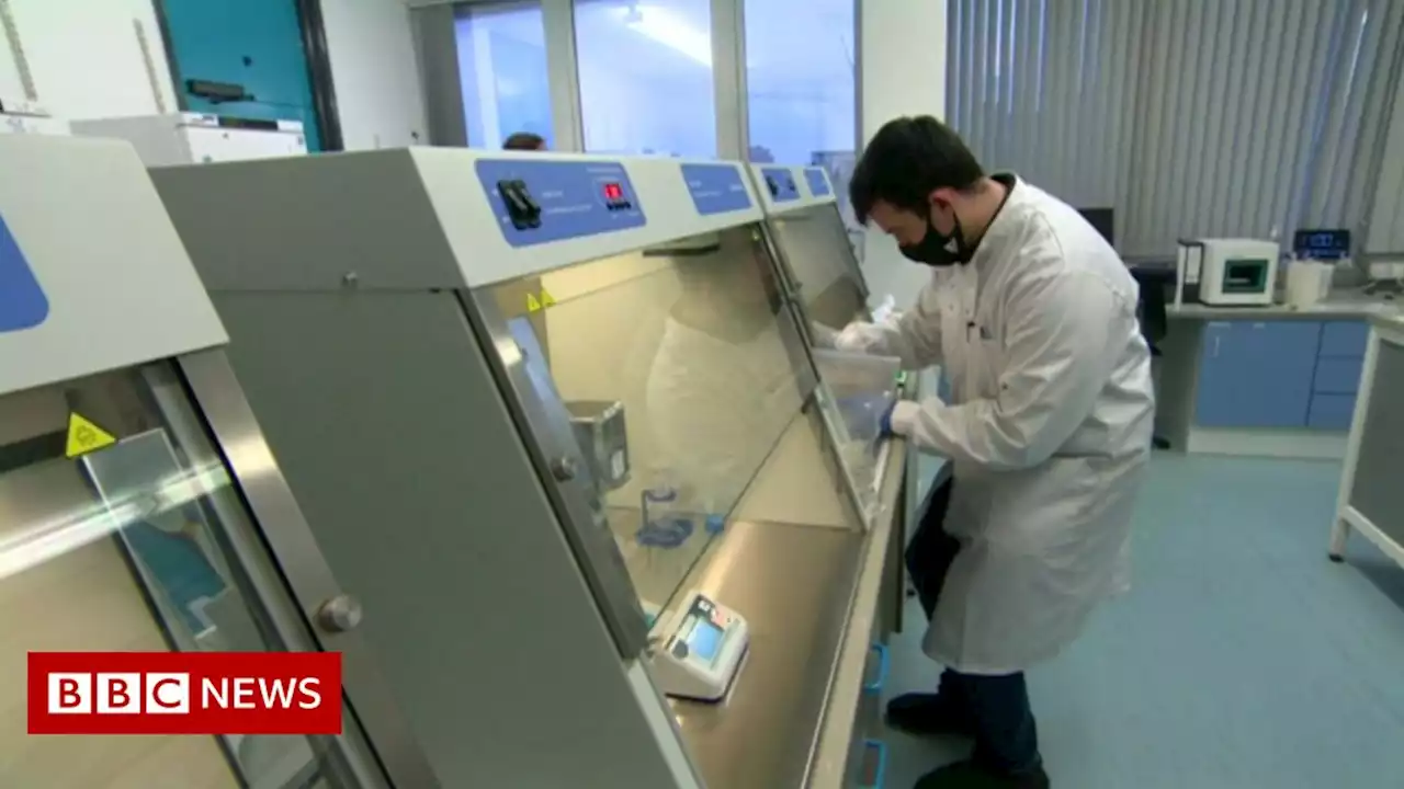 Covid-19: NI wastewater tested to detect virus outbreaks