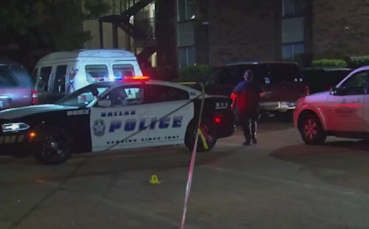 Apartment Crime A Concern In Dallas; Some Leaders Not Satisfied With Police Plan To Combat It