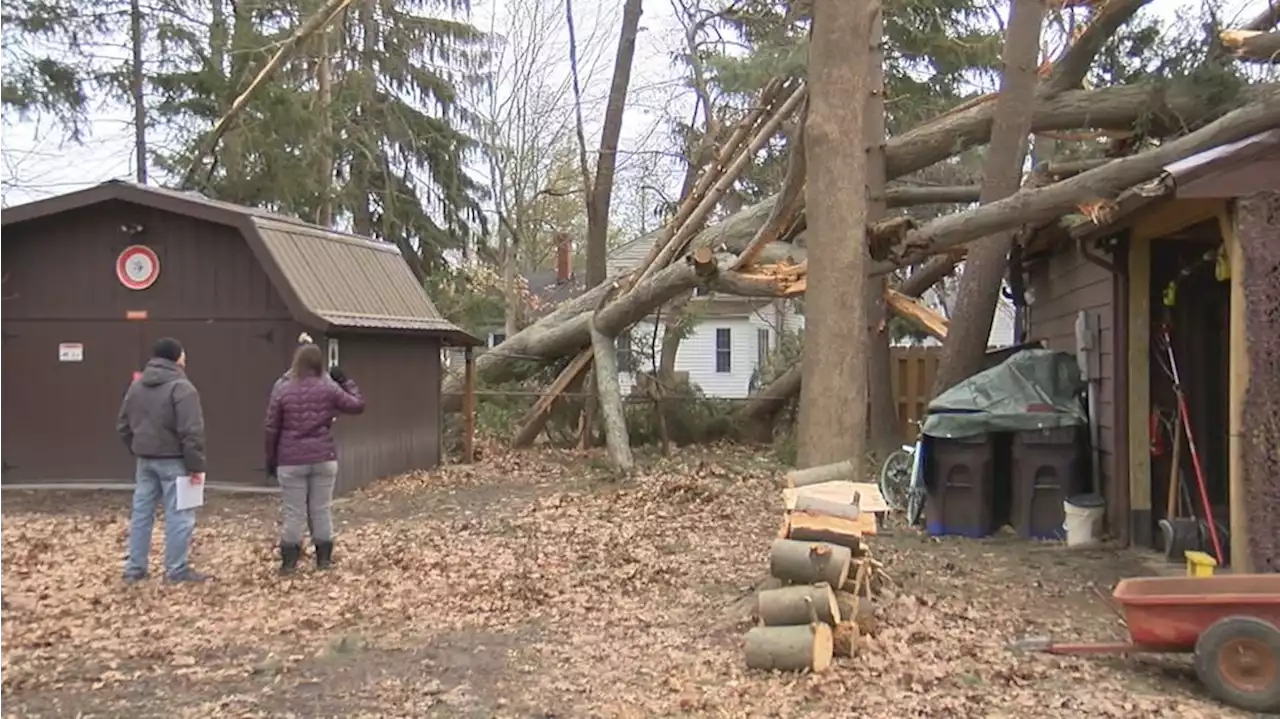 Who is responsible for 120-foot tree that fell on North Olmsted resident’s yard?