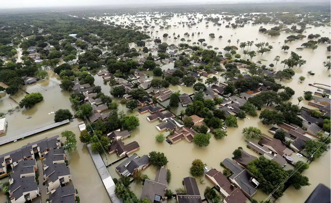 Hurricane Harvey relief distribution discriminated against Black and Hispanic residents, HUD says