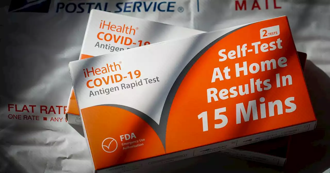 Second set of free rapid COVID-19 tests now available through federal government website