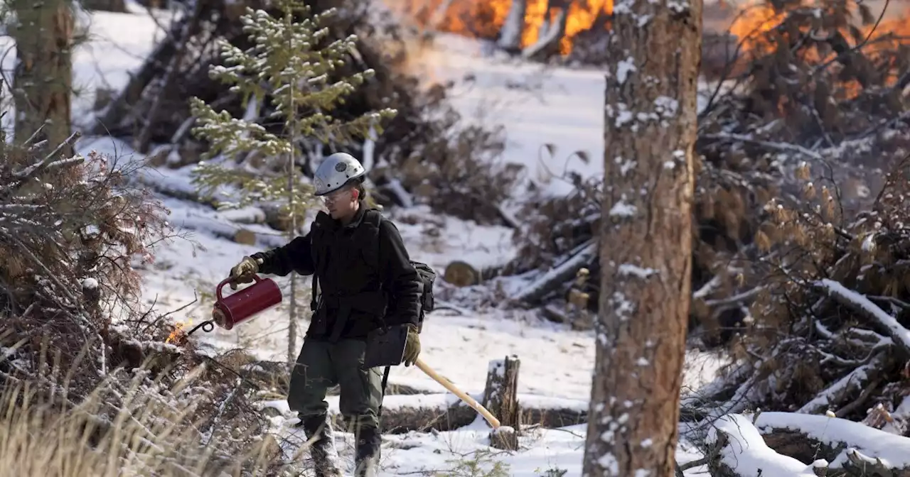 Changing snowfall makes it harder to fight fire with fire