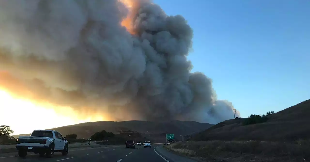 Exposure to wildfire smoke altered DNA structure in monkeys