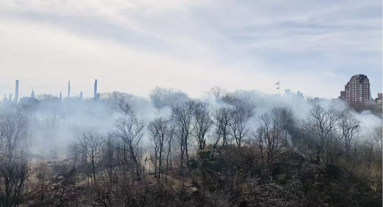 Multiple fires break out in Central Park