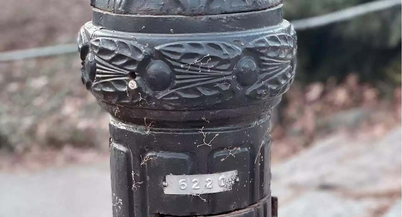 There are more than 1,800 lampposts in Central Park that double as navigational markers