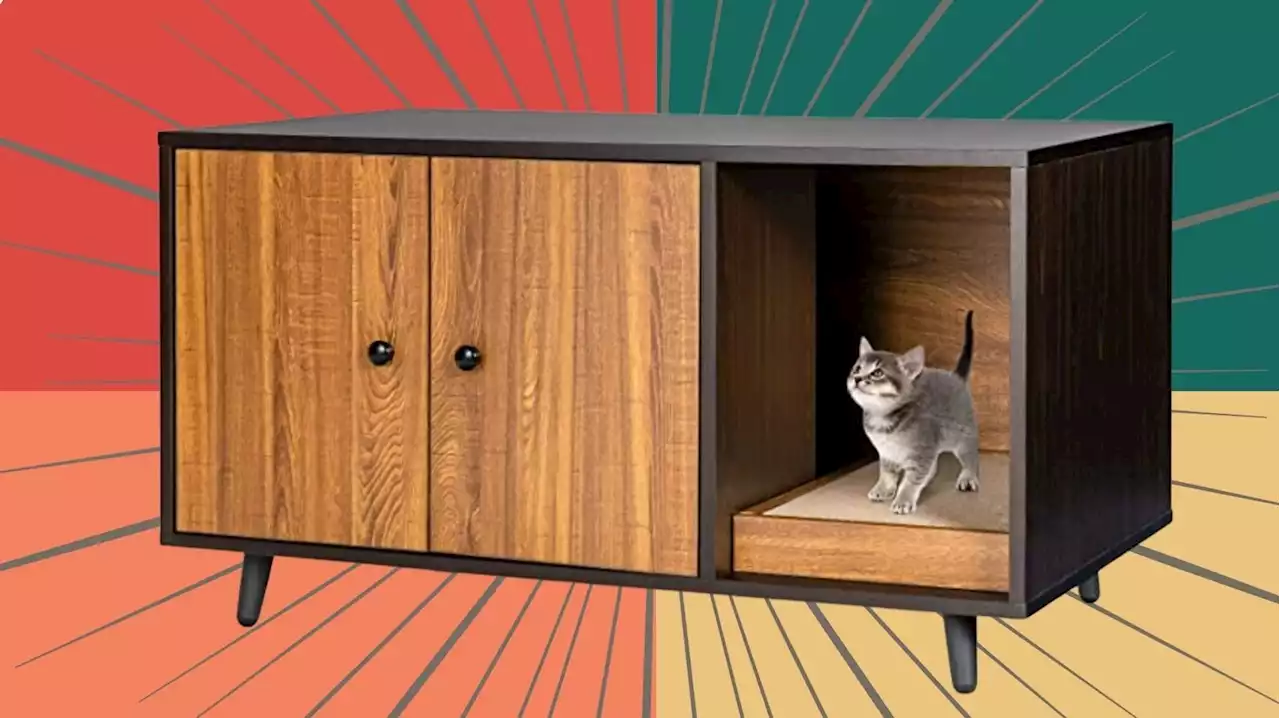 14 Litter Boxes That You Won't Need To Hide When Guests Come Over