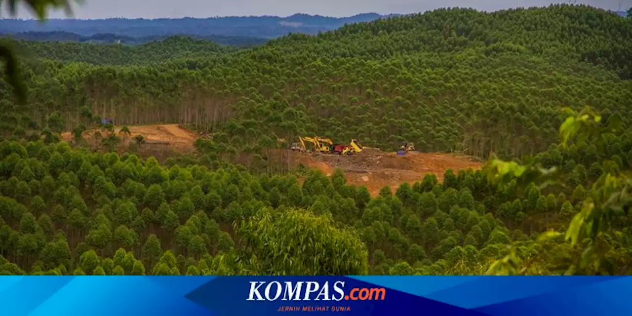 KSP: Perpres Turunan UU IKN Terbit Bertahap Hingga April 2022