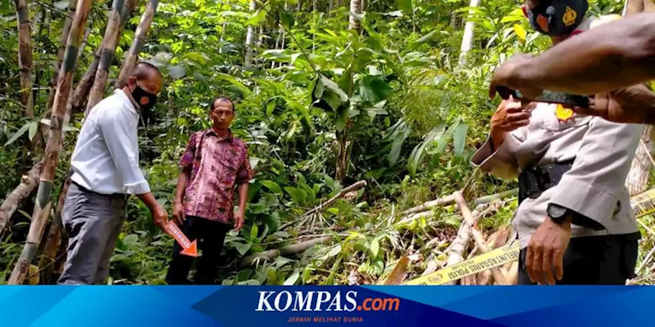 Selagi Mencari Kayu Bakar di Kebun, Satu Lansia Malah Tewas Tersetrum dan Lainnya Luka-luka