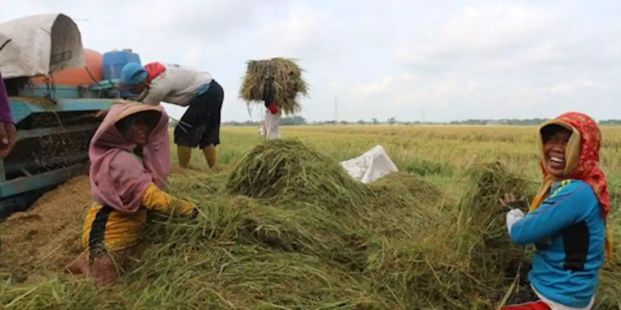 Strategi Jaga Pasokan dan Harga Pangan Tetap Stabil | merdeka.com