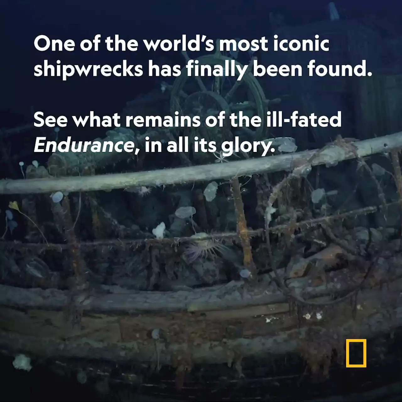 Shackleton’s legendary ship is finally found off the Antarctic Coast, a century later