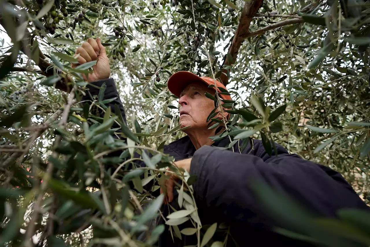 Climate Change, Nuclear War Occupy Jerry Brown in Retirement