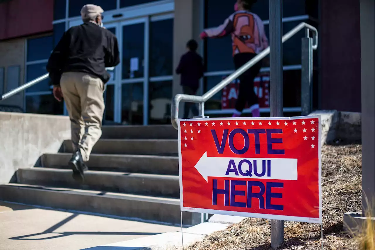 Harris County Official to Resign After Problems with Primary