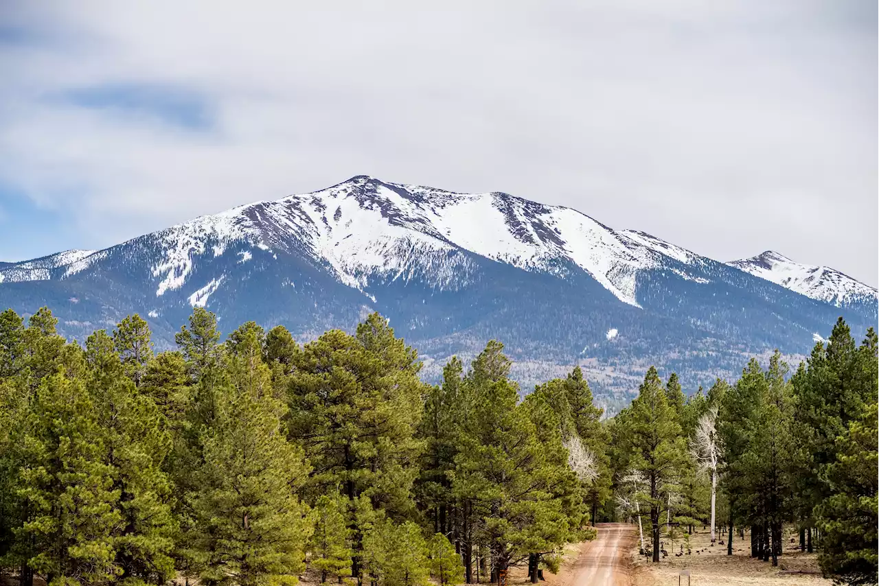 New York City Man Rescued Twice in 2 Days on Arizona Hikes