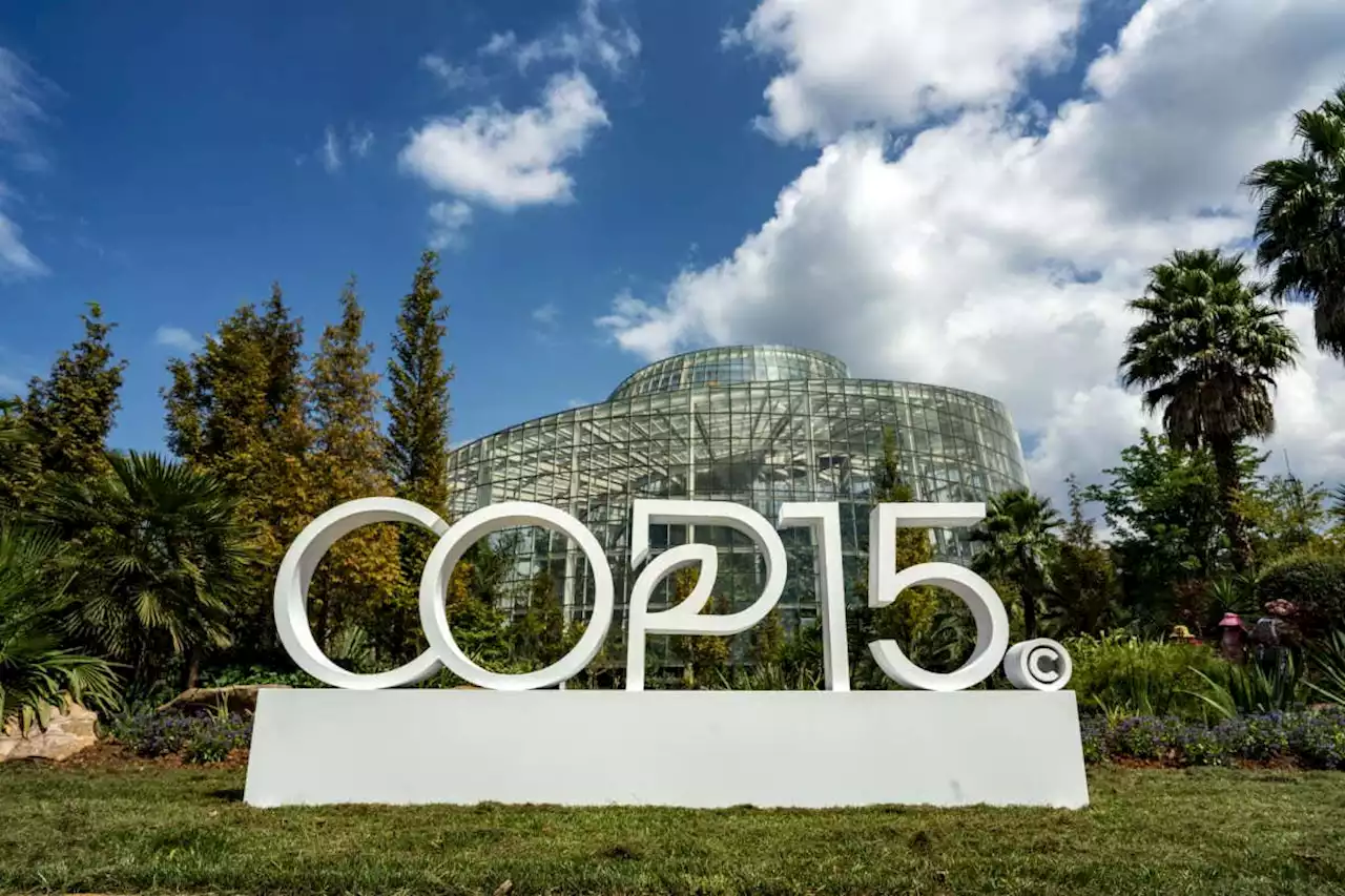 Crucial COP15 biodiversity summit set to be delayed a fourth time