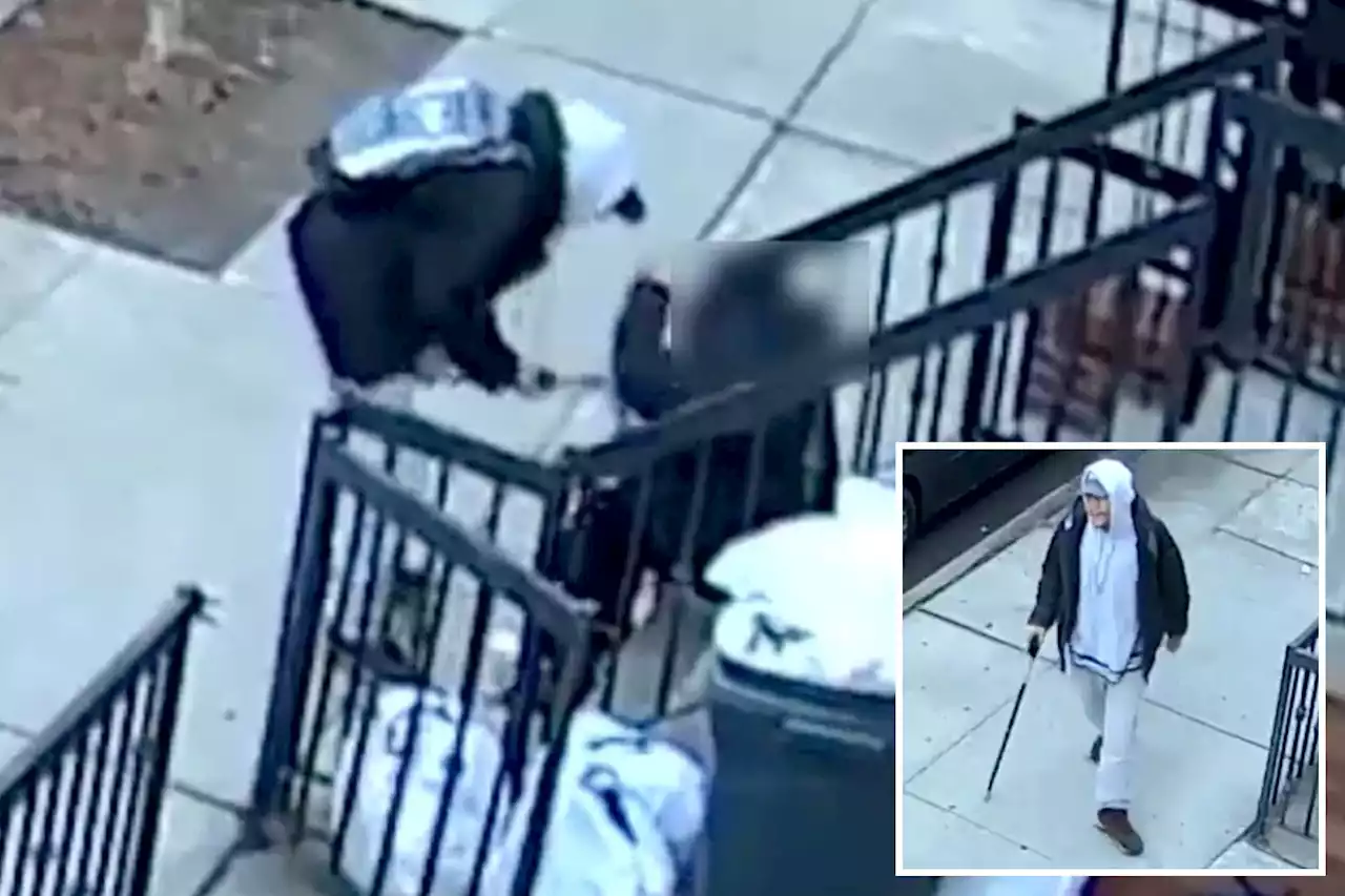 Panhandler attacks man, 91, with cane in Brooklyn: video