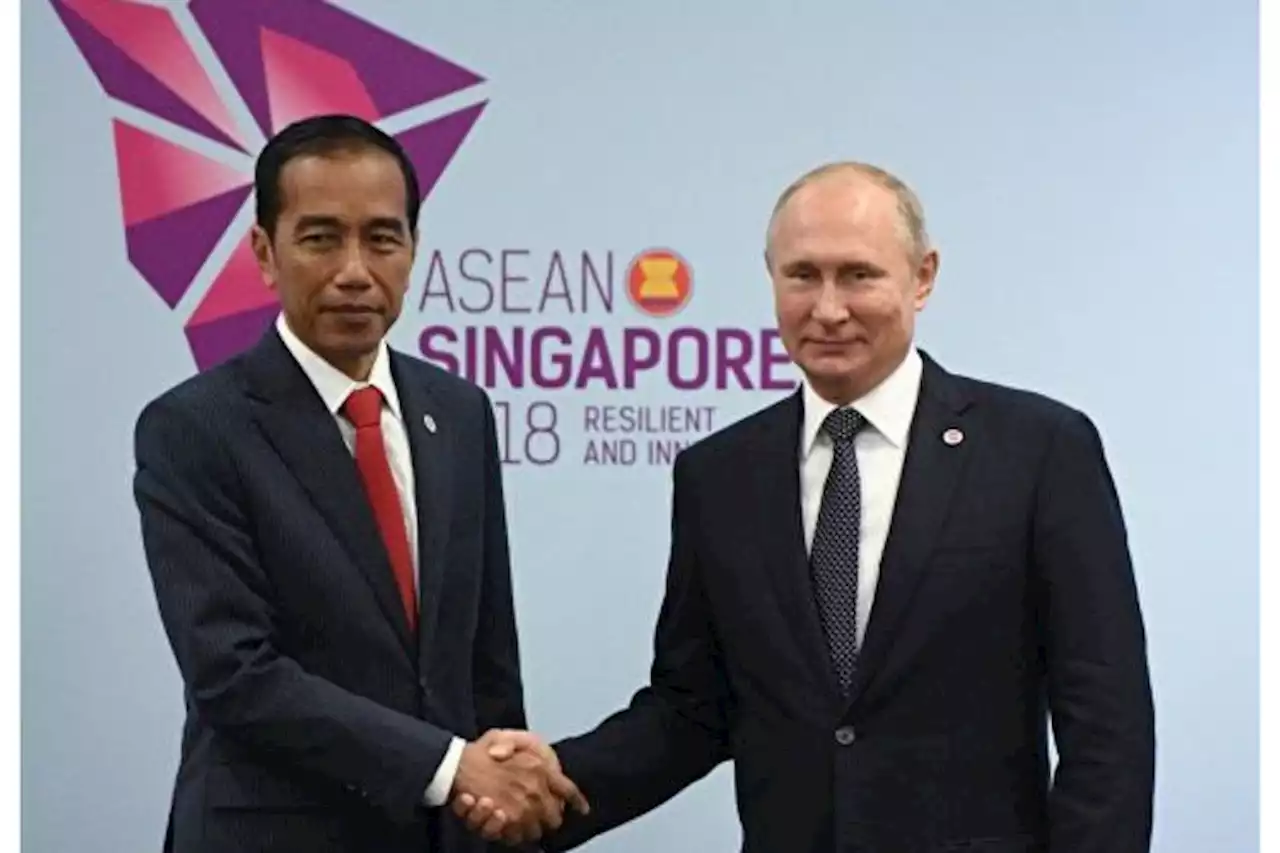 Pakar Unpad Sebut Vladimir Putin Kagumi Rakyat Indonesia yang Berani Menentang Hegemoni AS - Pikiran-Rakyat.com