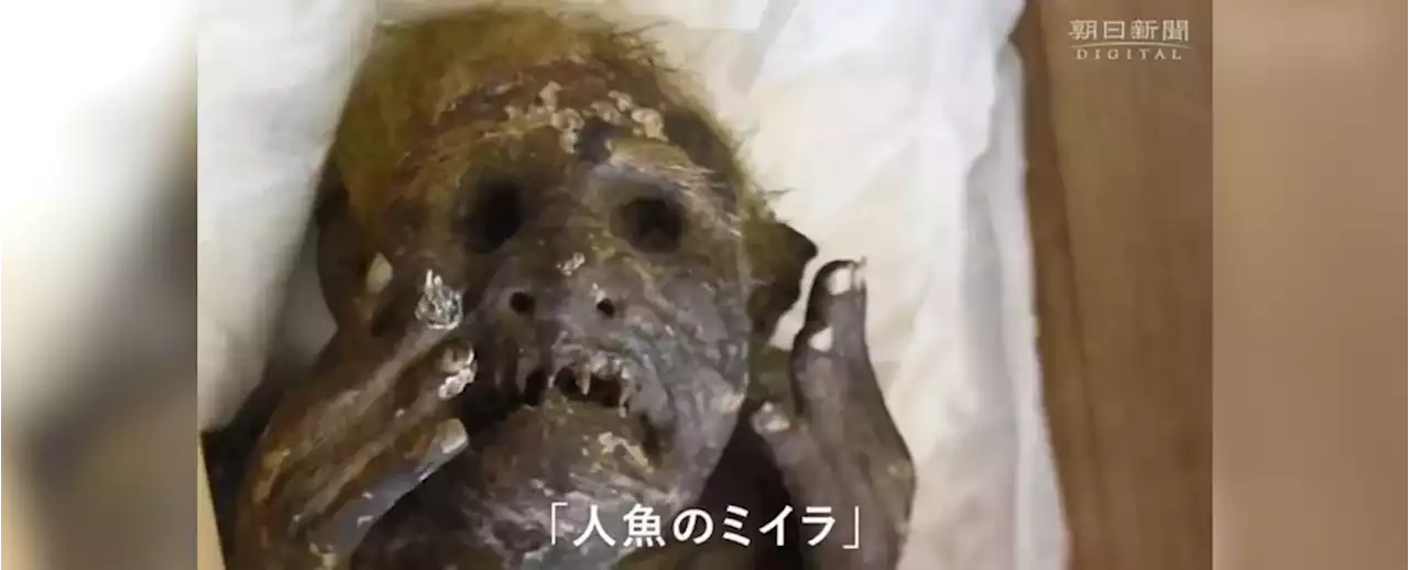 Bizarre 300-Year-Old Mummified 'Mermaid' Can Finally Be Explained