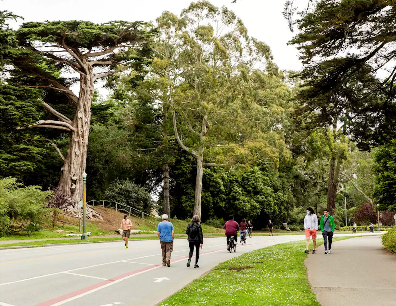 A major victory for car-free JFK Drive - The San Francisco Examiner