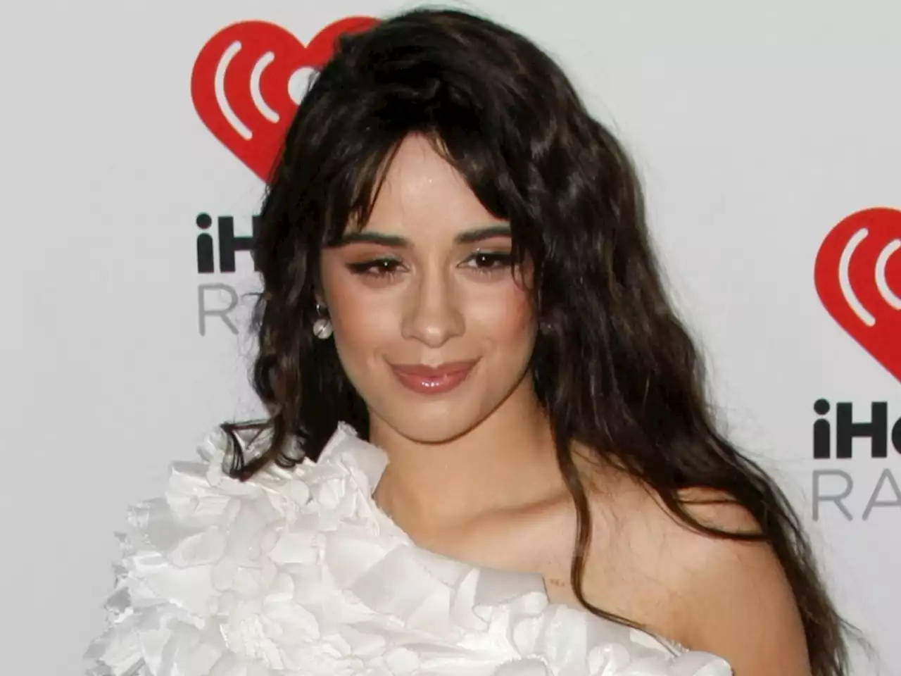 Stop Sharing Photos of Camila Cabello's Wardrobe Malfunction