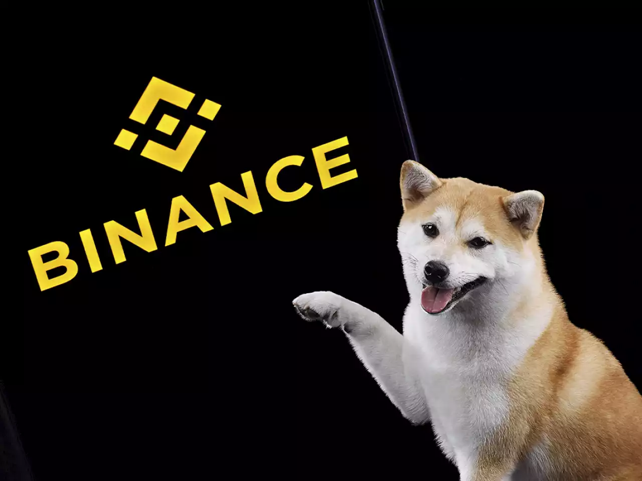 Binance Giving Away Shiba Inu Tokens to New Users